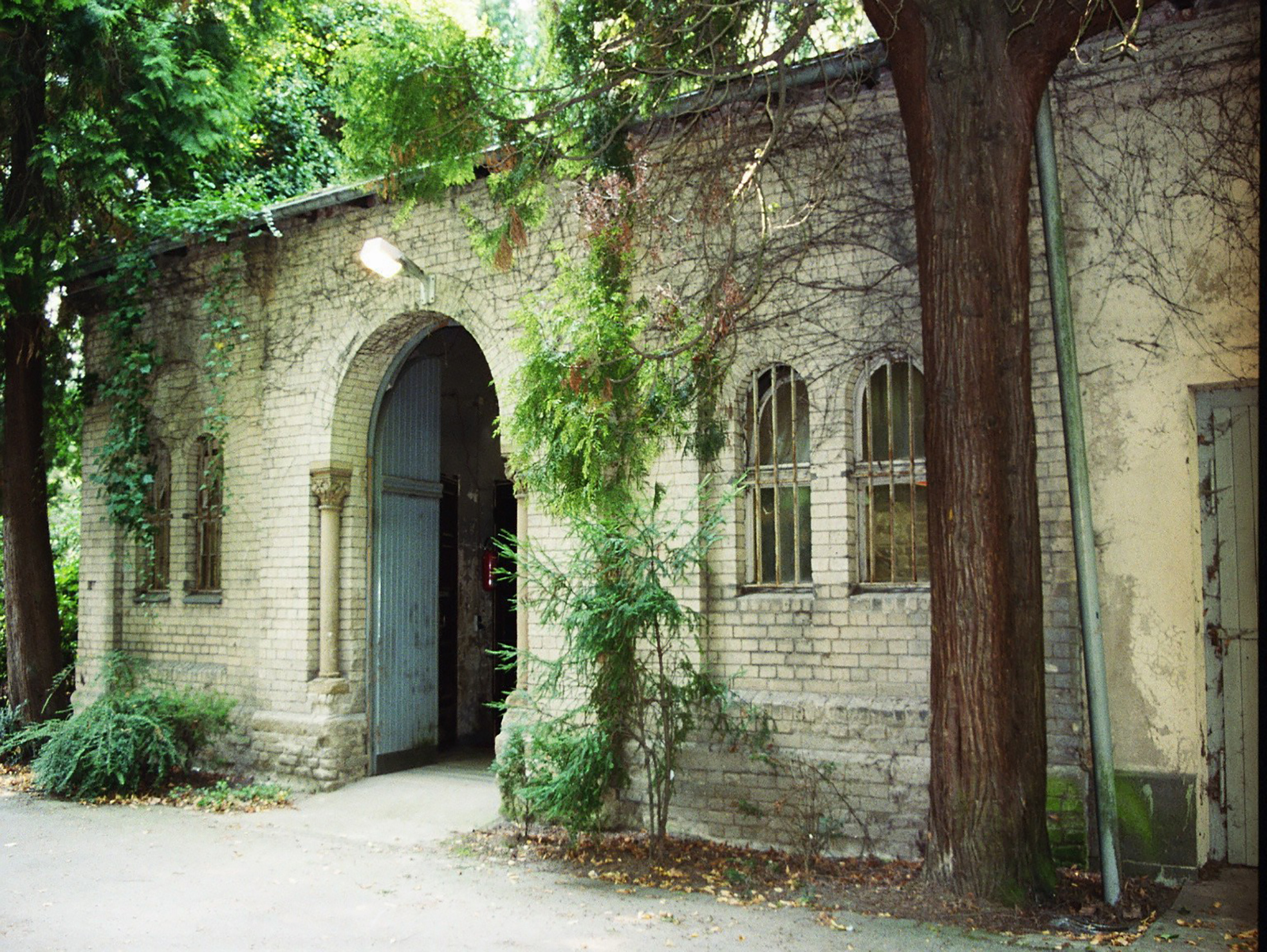 02_Abschied vom Ausblick